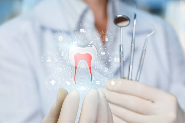 Reliable Red Lick, TX Holistic Dental Care Services Solutions